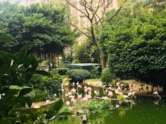 -九龙公园