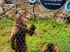 -哈尔滨北方森林动物园