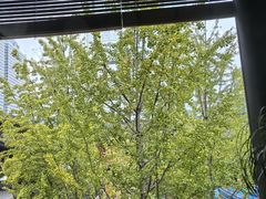 -柴门饭儿(成都太古里店)