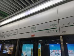 -杨柳河(地铁站)