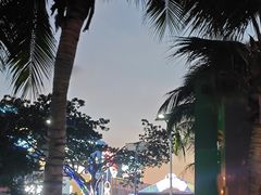 -龙泉人椰子鸡.糟粕醋.海南菜(三亚旗舰店)