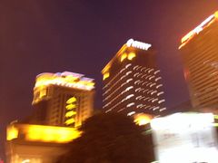 -成都明宇丽雅饭店