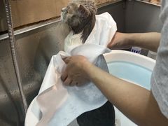 -PETKIT小佩宠物·低压洗护(国顺东路店)