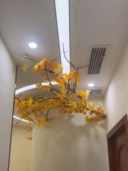 -芳朵美容养生SPA