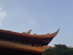 -成都动物园