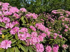 -名花谷生态庄园