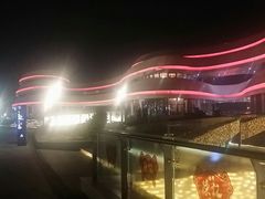 -野狸岛