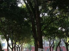 -四川大学(望江校区)