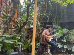 -Fern Forest Cafe