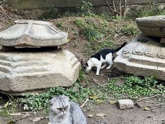 -天龙宝严素食馆(大兴善寺店)