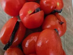 -万里闯关东铁锅炖菜馆(高新旗舰店)