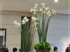 -上海波特曼丽思卡尔顿酒店