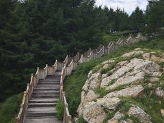-苏木山森林公园
