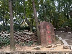 -灵岩山风景区