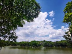-番禺大夫山森林公园