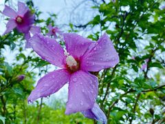 -元大都城垣遗址公园