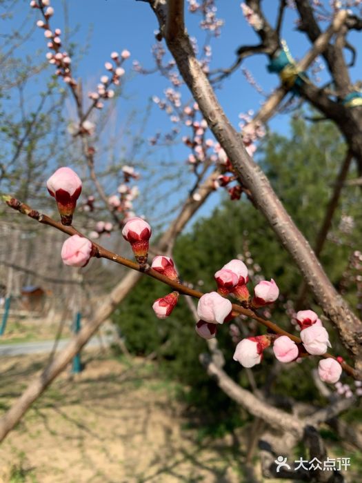 回龙观体育文化公园图片