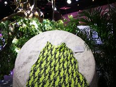 -精绝七日-新疆尼雅遗址数字大展【拉法耶文化艺术中心】