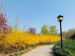 -永定河休闲森林公园