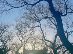 -北京国子监胡同