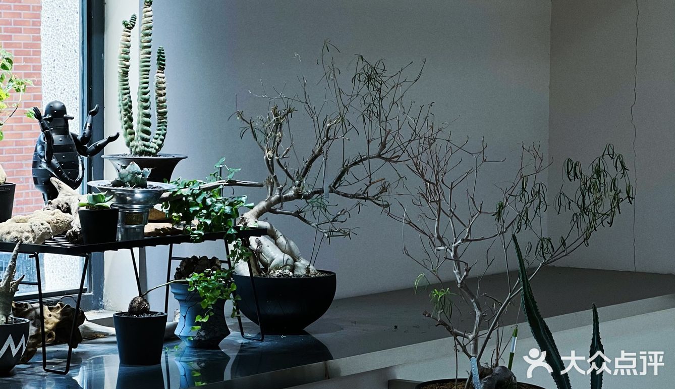 躺在城市森林晒会儿太阳🍃给精神以光合作
