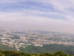 -紫金山山顶公园