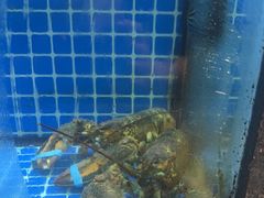 -碧海银沙海鲜餐厅(恒大海上威尼斯店)