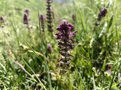 -扁都口生态休闲旅游区