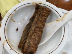 -丁老爷子苏香圆