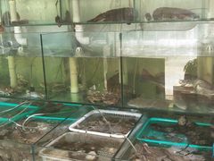 -胖子饺子馆·海鲜家常菜(海军博物馆店)