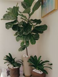 -海涛医疗美容·面部抗衰·注射美鼻