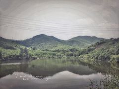 -莫干山风景区