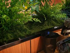 -0048鲜活香辣虾·火锅(铜陵路店)
