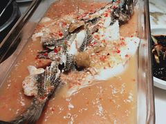 -佬肥猫(国华广场店)