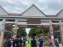 -上海都市菜园