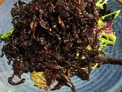 云南油鸡枞-雀舞云南菜(天津天河城购物中心店)