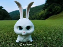 -观澜湖高尔夫球会
