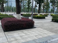 -两江幸福广场