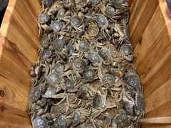 -初色海鲜自助(万丰路店)