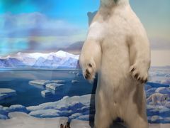 -陕西自然博物馆