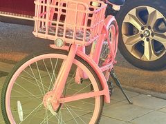 -陆家嘴世纪金融广场