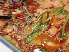 -鱼酷活鱼烤鱼(南京水游城店)