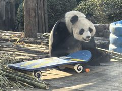 -大连森林动物园