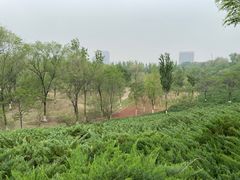 -滨河世纪广场公园