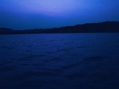 -西湖外事游船(花港观鱼码头)