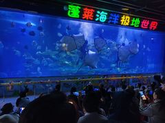 -蓬莱欧乐堡海洋极地世界