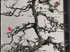 -成都杜甫草堂博物馆