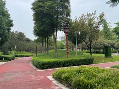 -眉山湿地公园(东坡区)