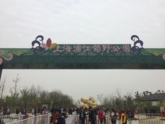 -上海浦江郊野公园-2号停车场