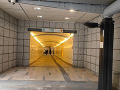 -东望洋炮台东望洋灯塔